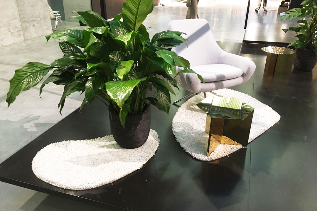 Hugo Boss Orange Showroom